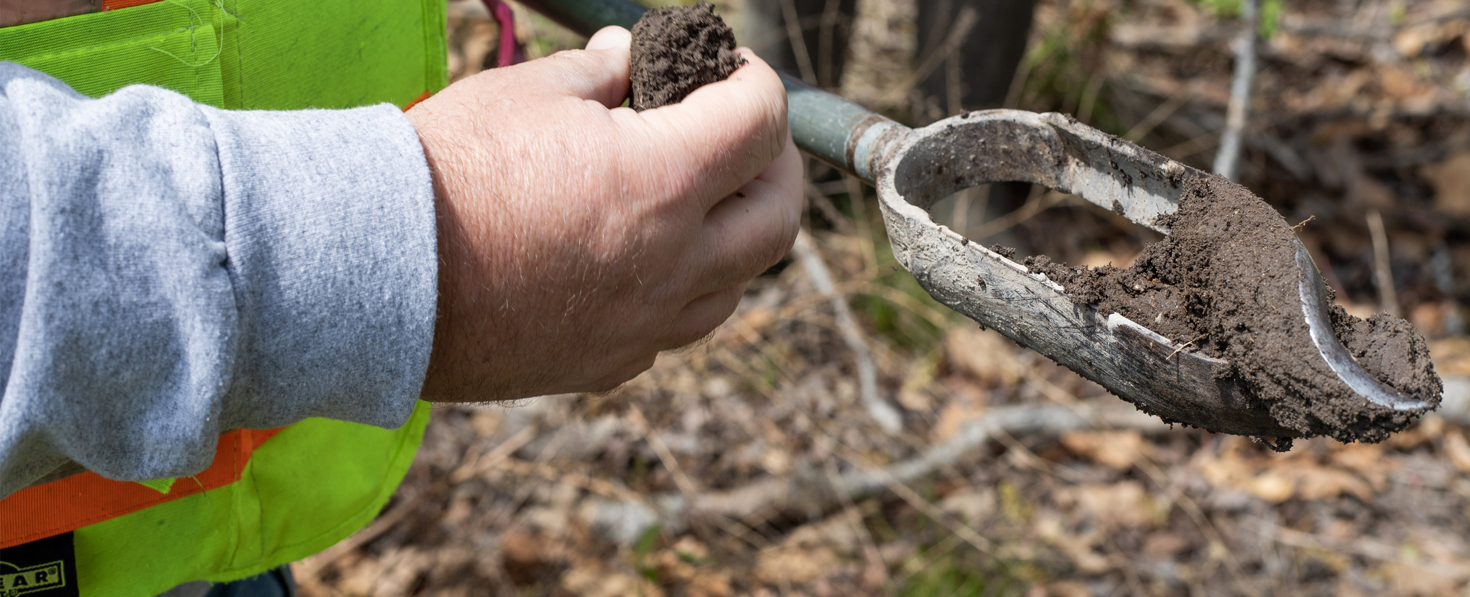 taking dirt samples